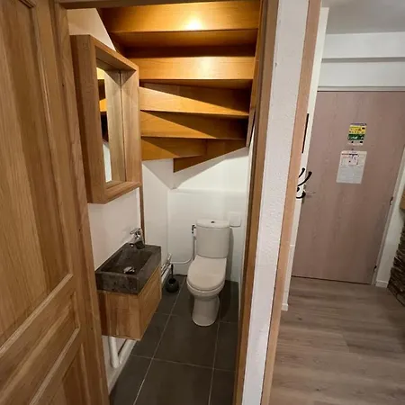 Apartment Duplex 12p St Sorlin D'arves Odalys Saint-Sorlin-d'Arves